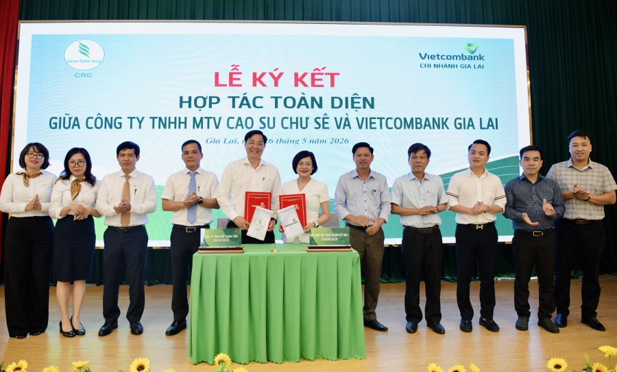 20260526_GLa_DTMH_KyketHoptacToandienCaosuChuSe_01