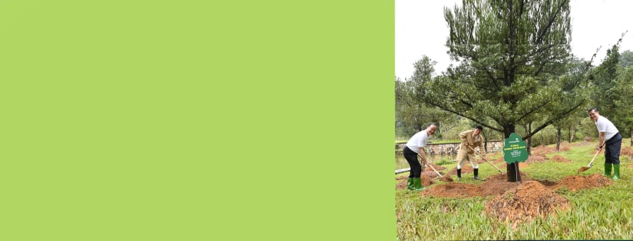 20260301_LHQ_TetTrongCay_YenTu_133_PC_BN